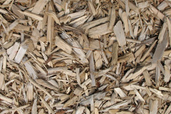biomass boilers Polegate